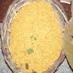 Vraj-Yatra-2014- (870)